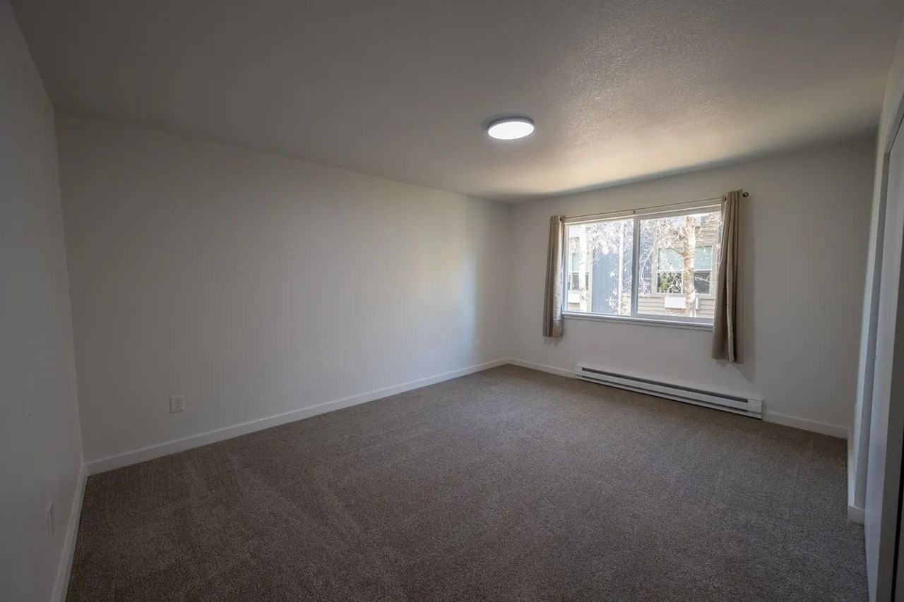 Beautifully Renovated Apartment Home Walking Distance to Downtown - Photo 6 of 17