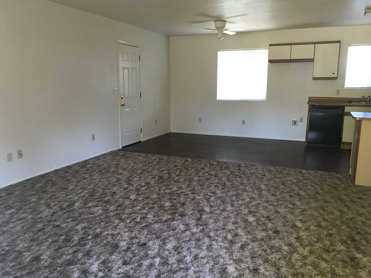 1162 Le Brun Ln - Photo 4 of 13