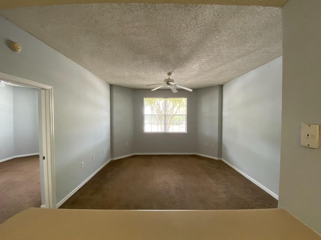 10831 Windsor Walk Dr #1103 - Photo 4 of 23