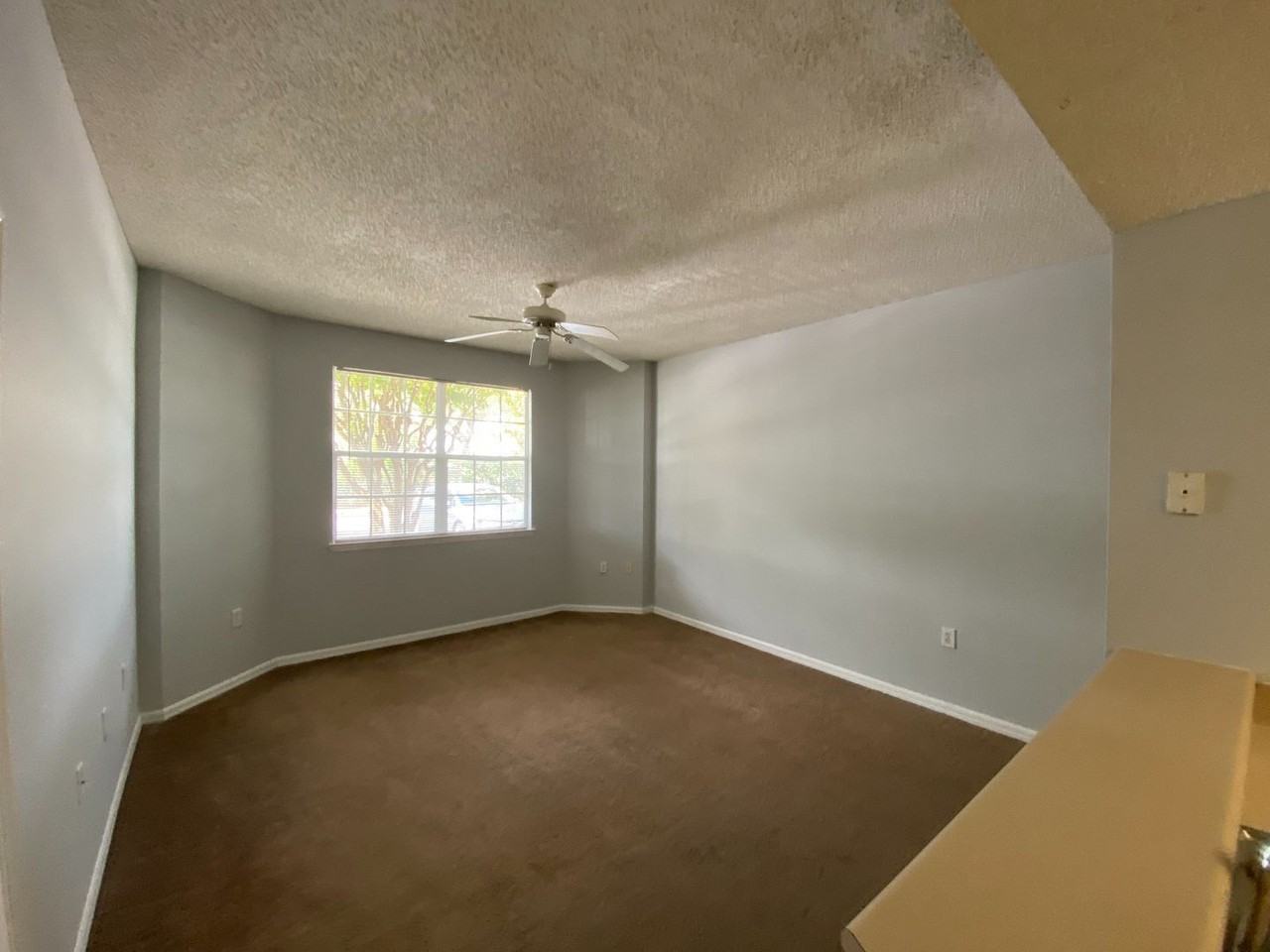 10831 Windsor Walk Dr #1103 - Photo 5 of 23