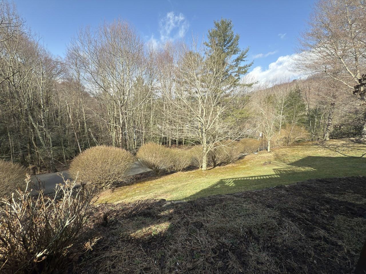 169 Brookview Ln, Unit 2bed - Photo 2 of 13