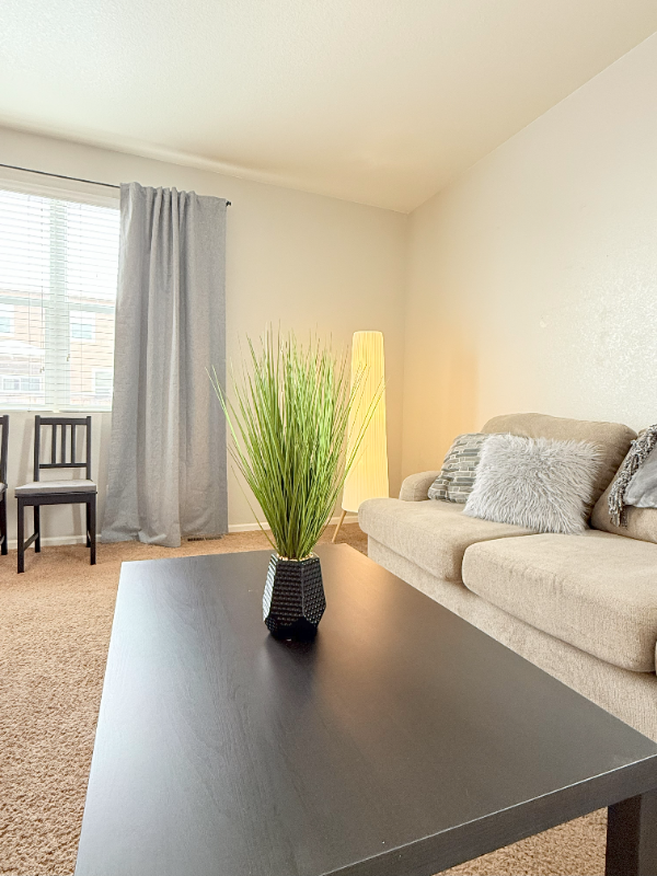 3634 Daylily St - Photo 4 of 19