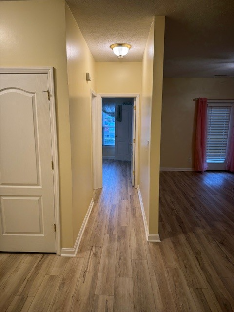 9415 Magnolia Ridge Dr #101 - Photo 4 of 20