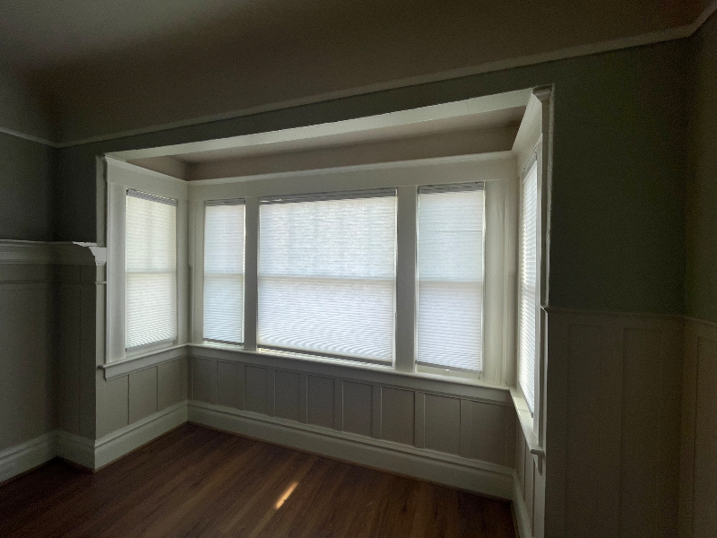 1127 Elgin St - Photo 4 of 19