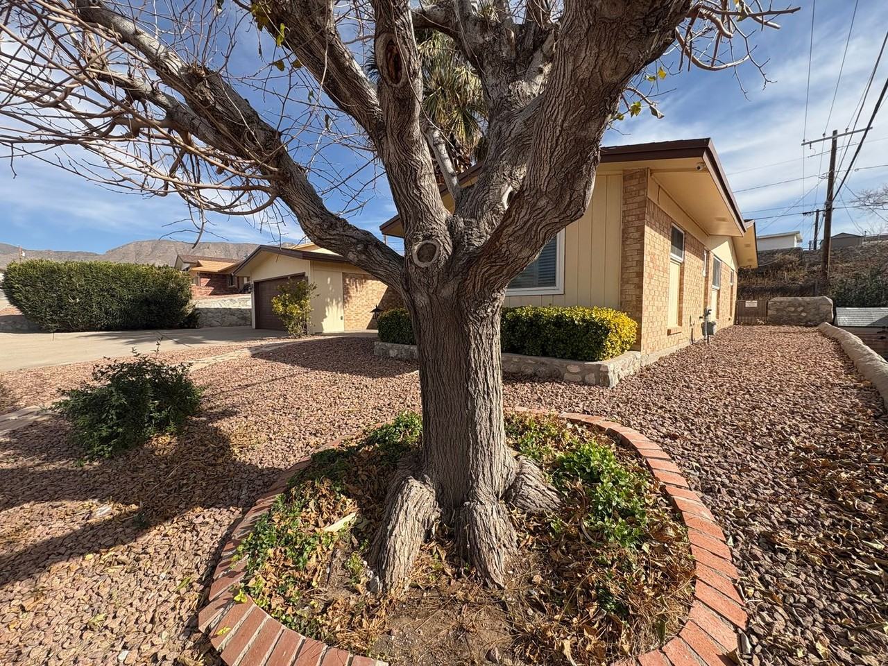 224 Lomont Dr - Photo 3 of 50