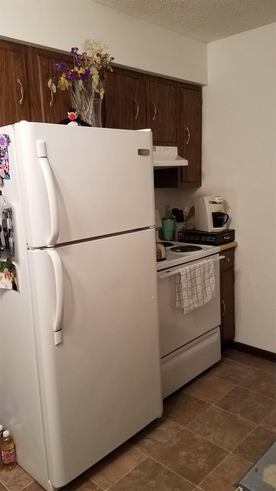 717 E Garland St - Photo 4 of 23