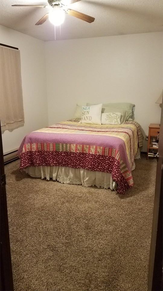 717 E Garland St - Photo 6 of 23