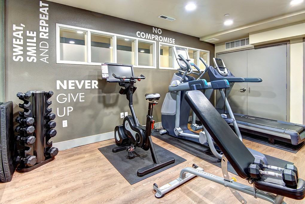 Canvas - Photo 4 of 50