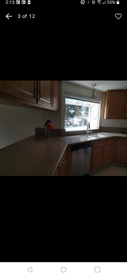 3157 Mimi Ct #NA - Photo 4 of 12