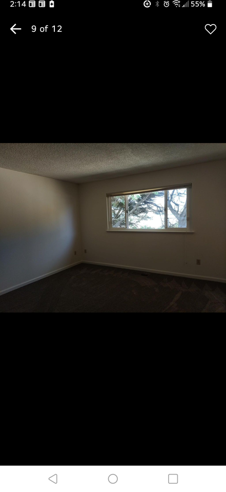 3157 Mimi Ct #NA - Photo 6 of 12