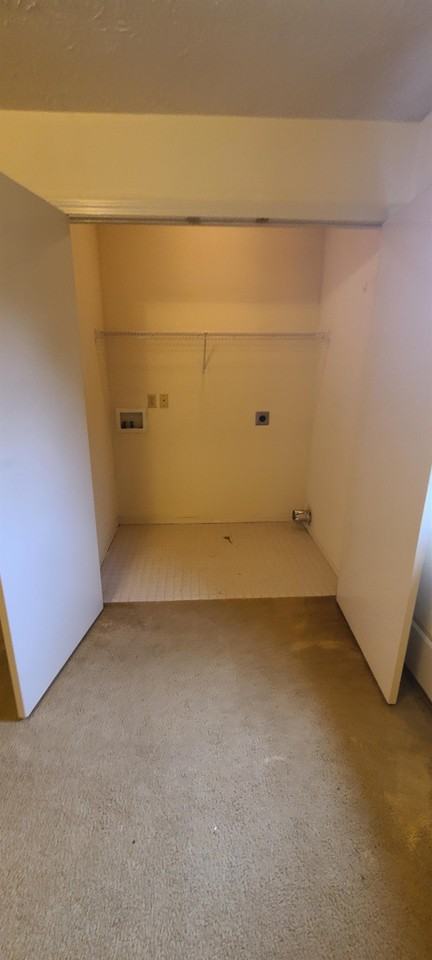 3100 Dodson Branch Rd - Photo 3 of 19