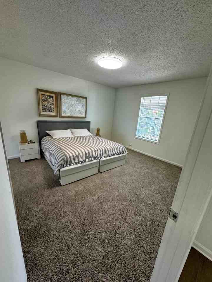 Cheyenne - Photo 4 of 21