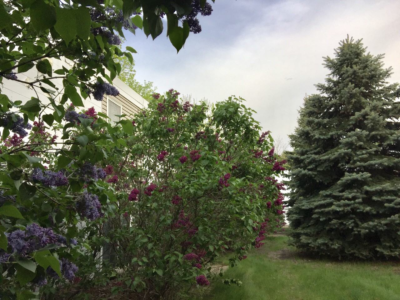 1531 American Blvd E #110 - Photo 5 of 30