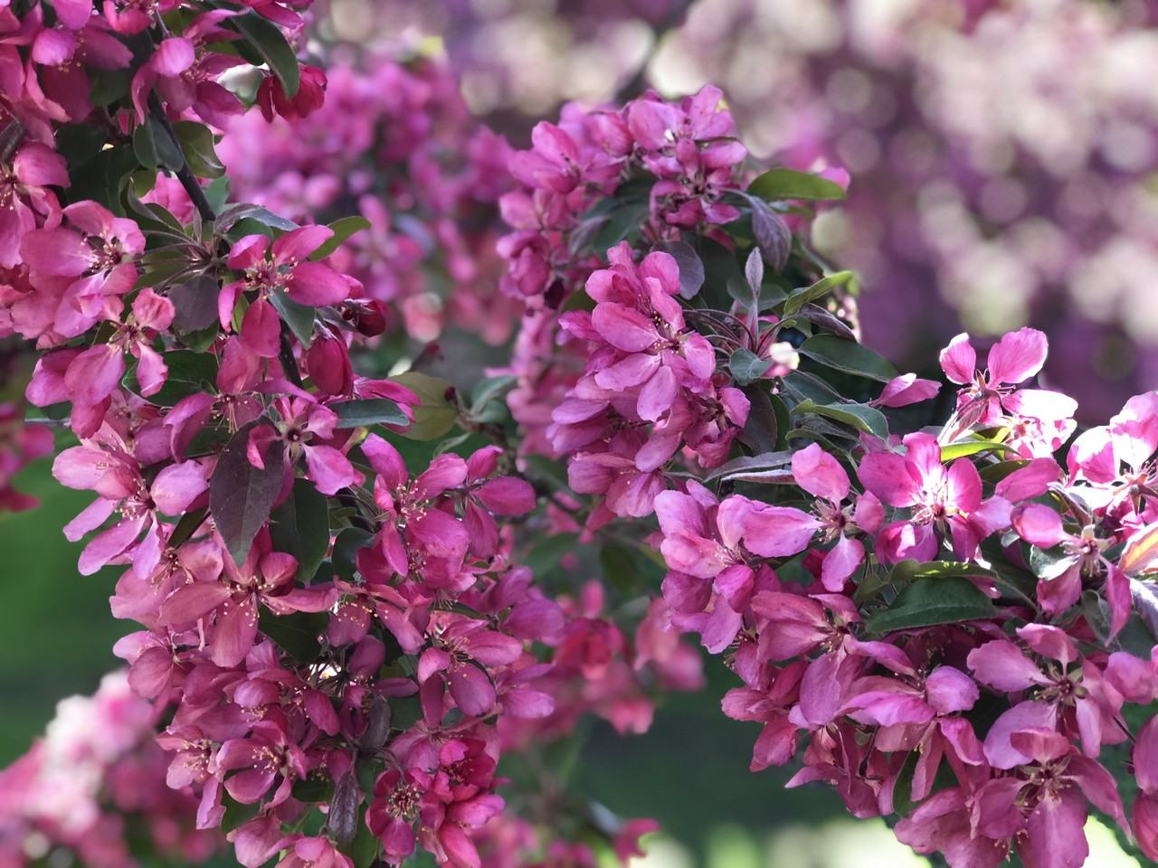 1531 American Blvd E #110 - Photo 6 of 30