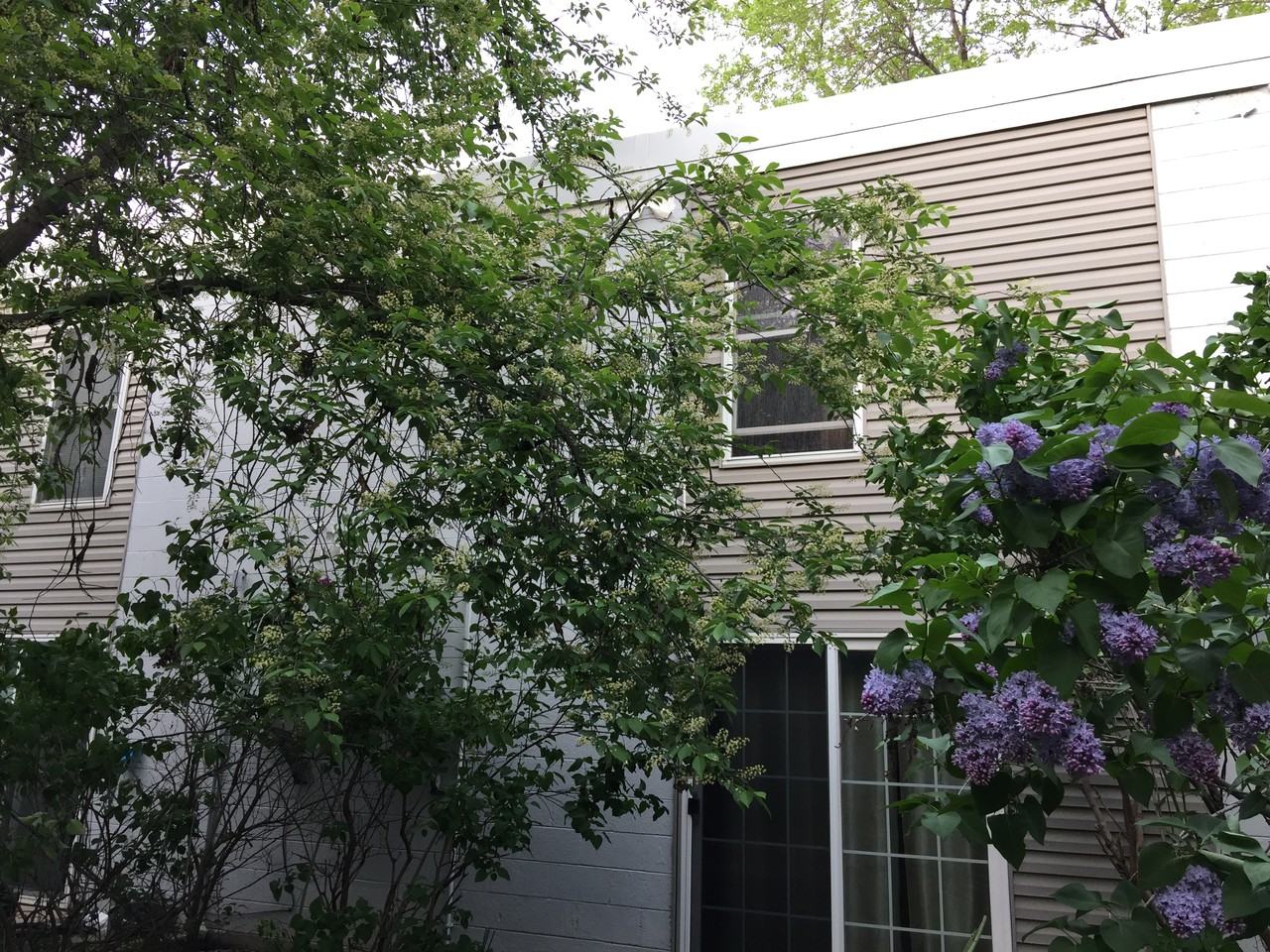 1531 American Blvd E #110 - Photo 7 of 30