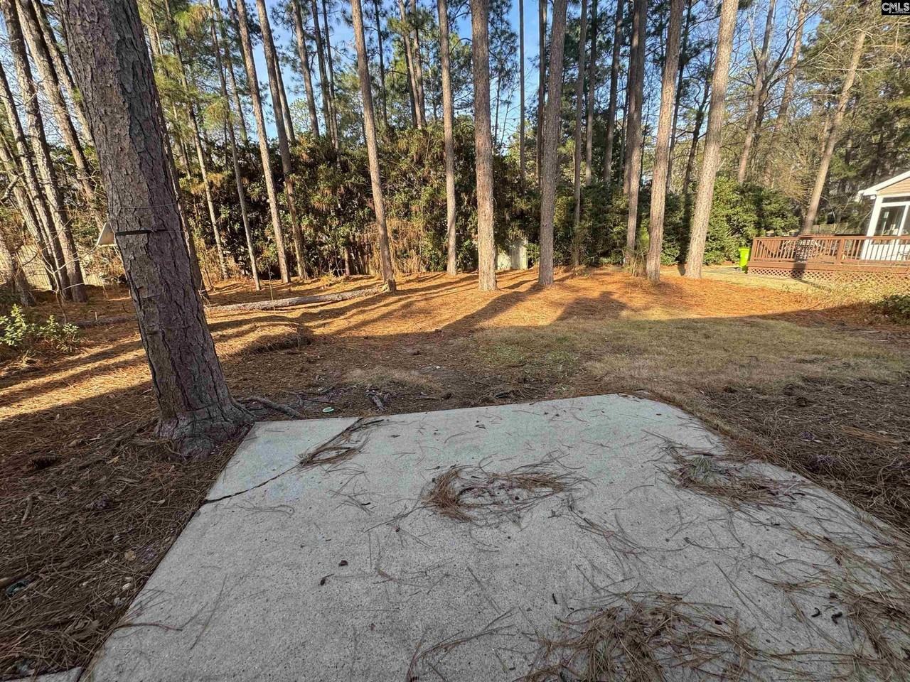 153 Whitwood Cir - Photo 5 of 24