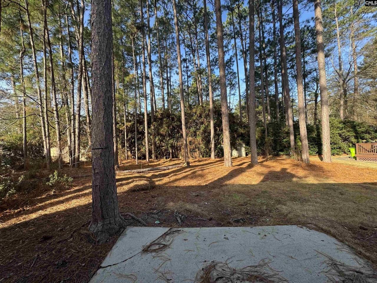 153 Whitwood Cir - Photo 6 of 24