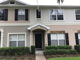 featured image of 15776 Fishhawk Falls Dr