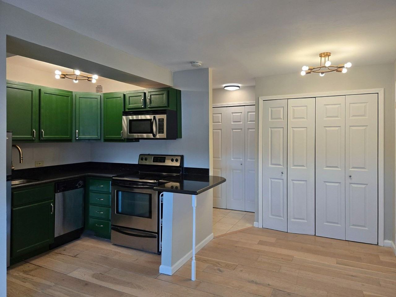 2909 N Sheridan Rd Apt 1810 #1810 - Photo 4 of 12