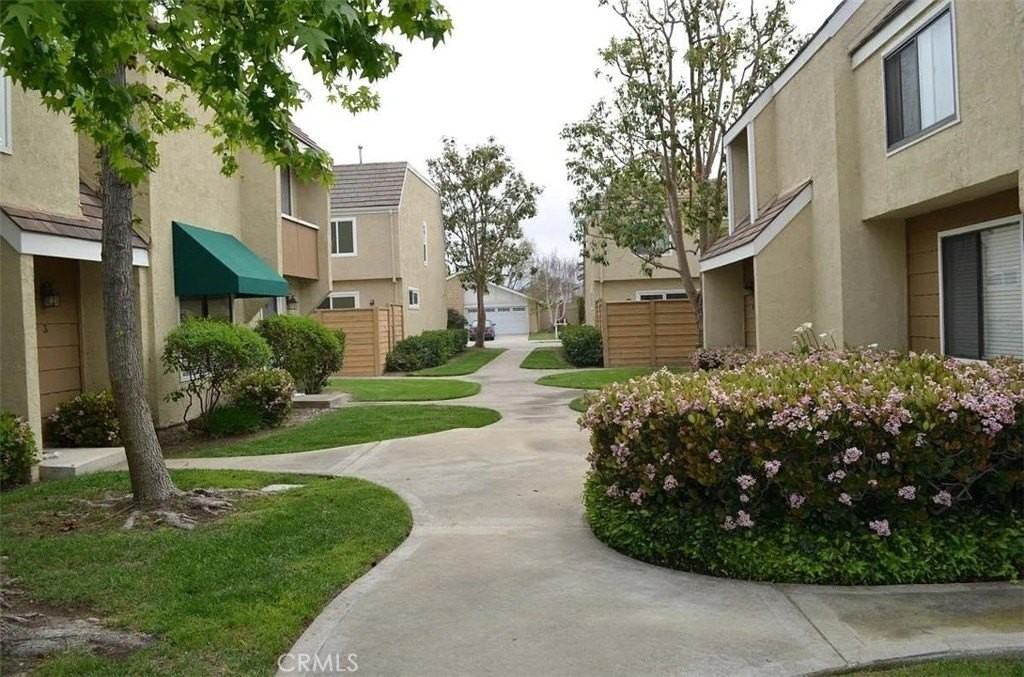 5 Goldenwren - Photo 5 of 20