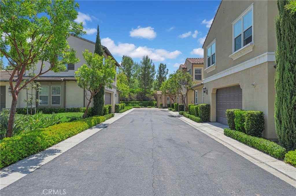 230 Bright Poppy - Photo 4 of 29