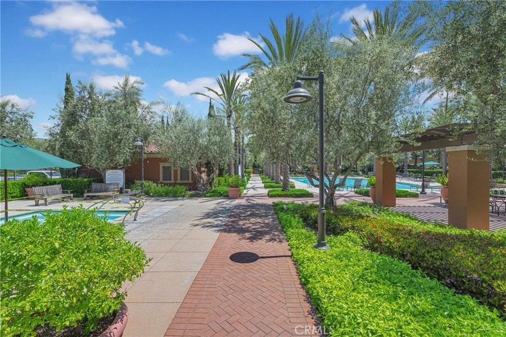 230 Bright Poppy - Photo 6 of 29