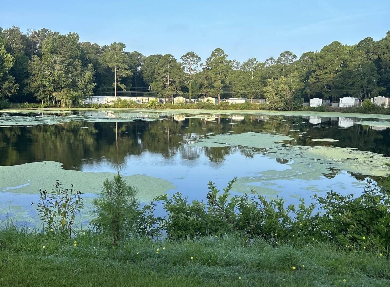 3442 Blue Ridge Cir - Photo 6 of 8