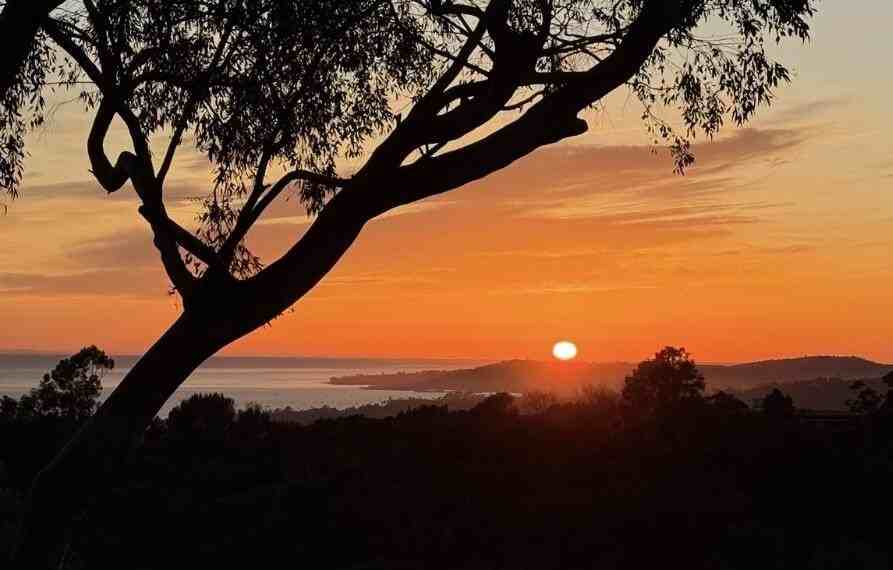 2891 Hidden Valley Ln - Photo 5 of 43