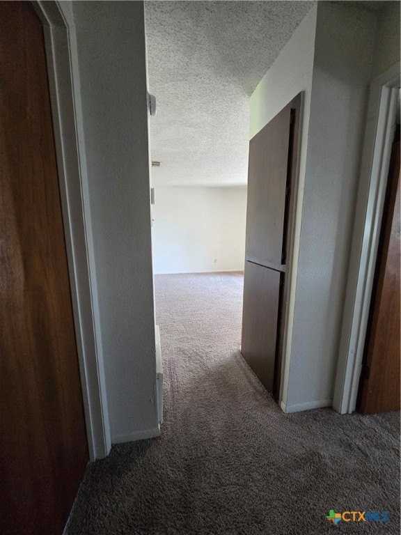 209 Oak Trail Dr Apt C #C - Photo 3 of 11