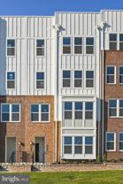 19874 Yellow Daisy Ter - Photo 1 of 1