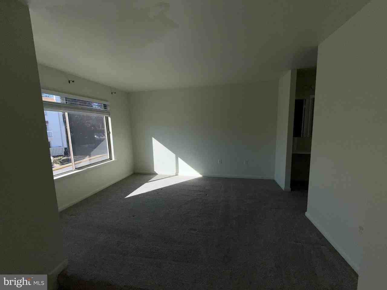 12825 Cara Dr - Photo 5 of 12