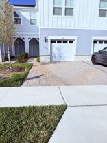 105 Violet Vine Ln - Photo 1 of 1