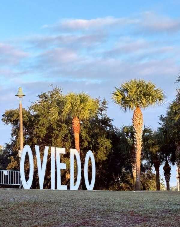 105 Violet Vine Ln - Photo 2 of 10