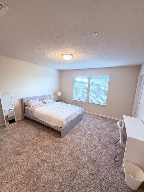 105 Violet Vine Ln - Photo 3 of 10