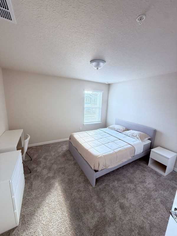 105 Violet Vine Ln - Photo 6 of 10