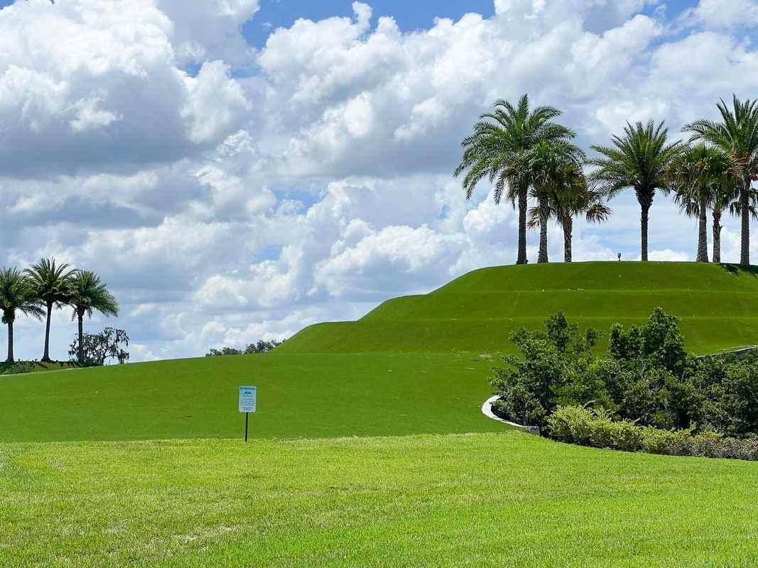 32106 Pop Ash Pl - Photo 2 of 8