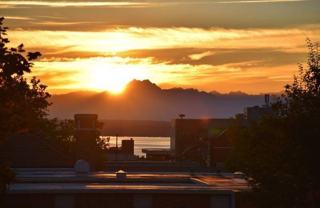 109 2nd St S #225 - Photo 1 of 1