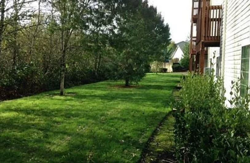 Vineyard Apartments - Photo 4 of 5