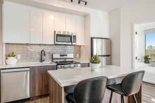 Luxury 2 Bed 2 Bath Condo - Photo 1 of 1