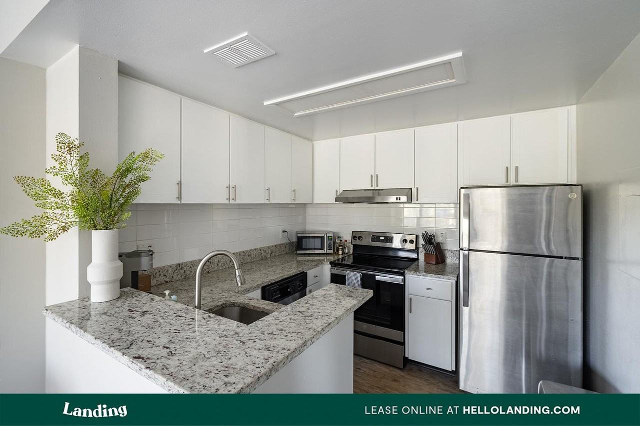 1000 Palm Place Dr NE - Photo 4 of 50