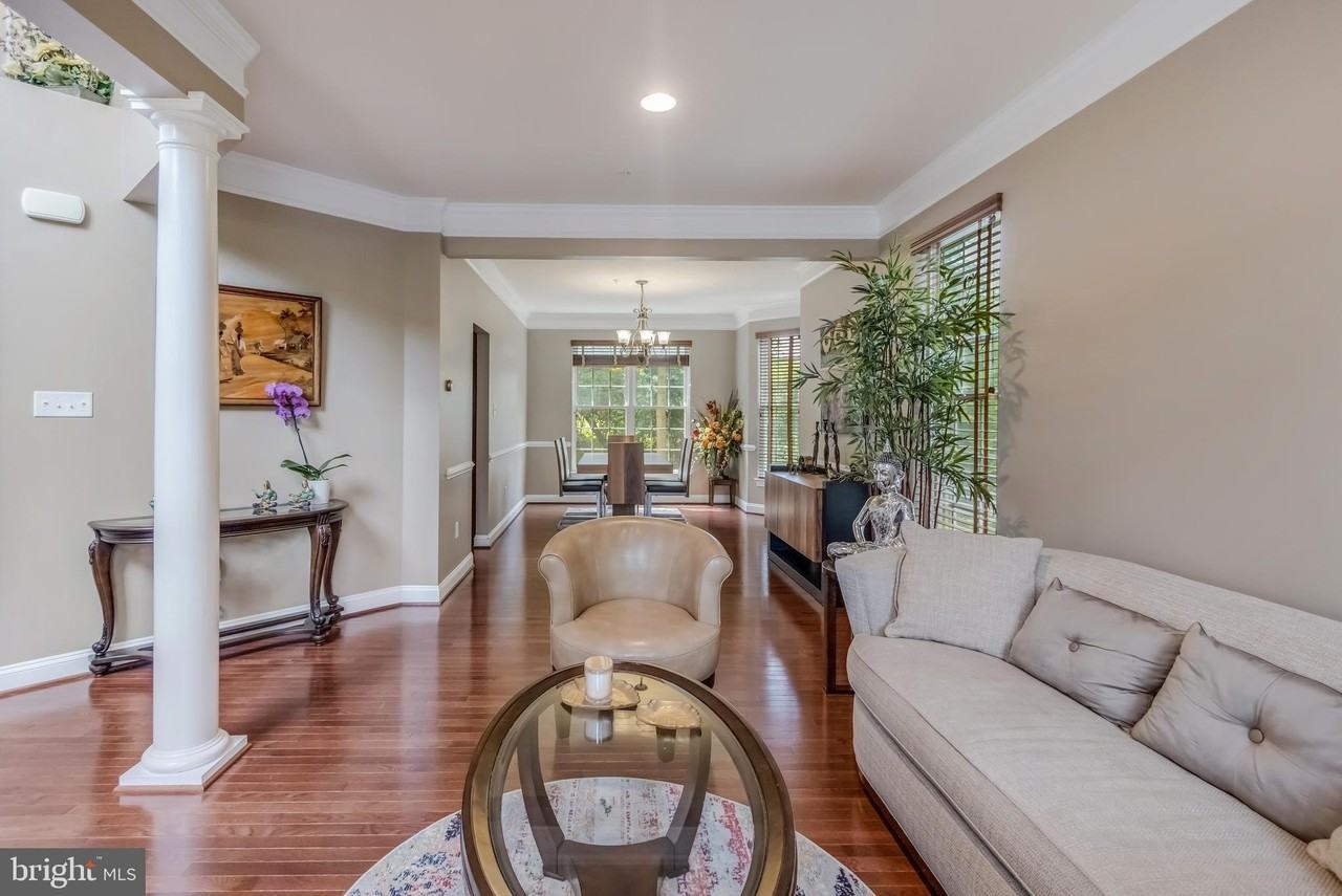 9848 Shaded Day - Photo 7 of 50