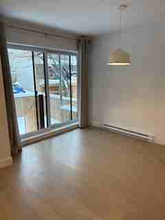 4609 Rue de la Roche #102 - Photo 5 of 14