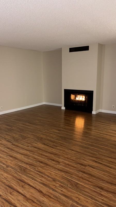 3708 Spencer St #001 - Photo 4 of 19