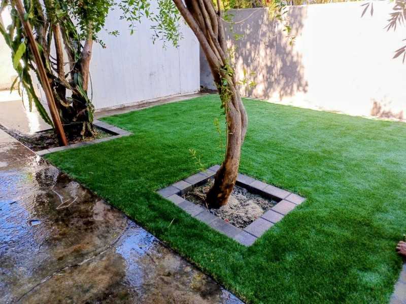 927 Freeman Ave - Photo 4 of 15