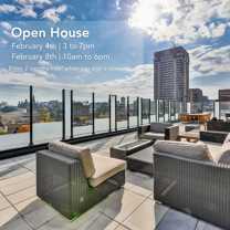 Le Vibe - Photo 1 of 1