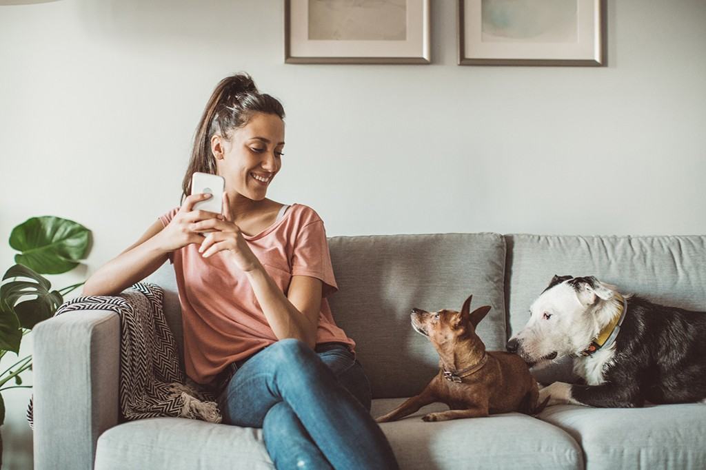 Lord Seaton Road - Photo 4 of 12