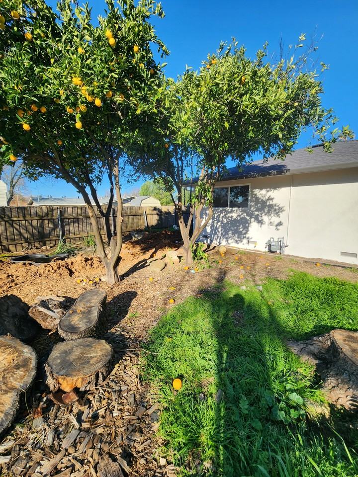 9500 Pershing Ave #NA - Photo 2 of 7