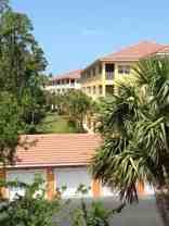 4455 Botanical Place Cir #307 - Photo 1 of 1