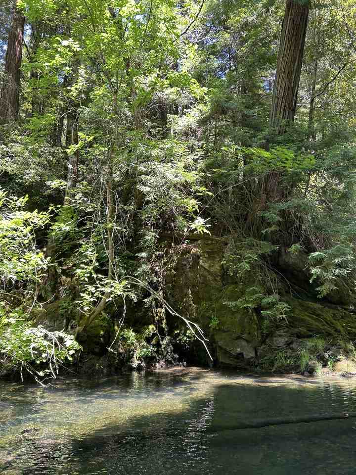 41500 Wilderness Lodge Rd #NA - Photo 5 of 11