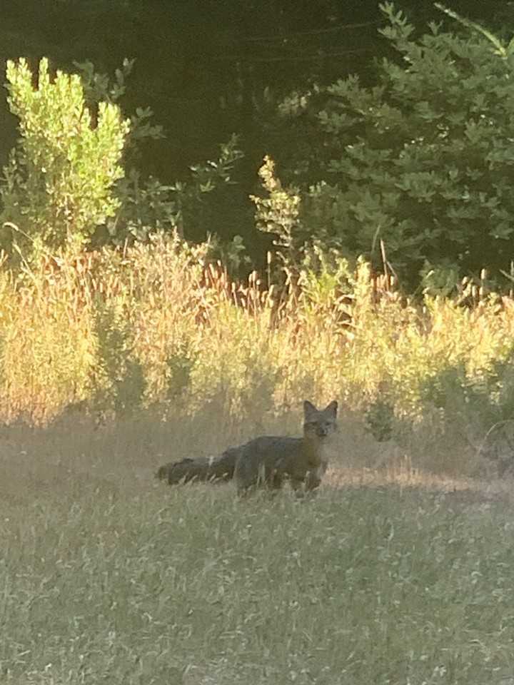 41500 Wilderness Lodge Rd #NA - Photo 7 of 11